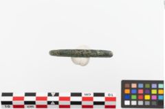 Foto von Bronzering (NHMW-PRAE-023741)